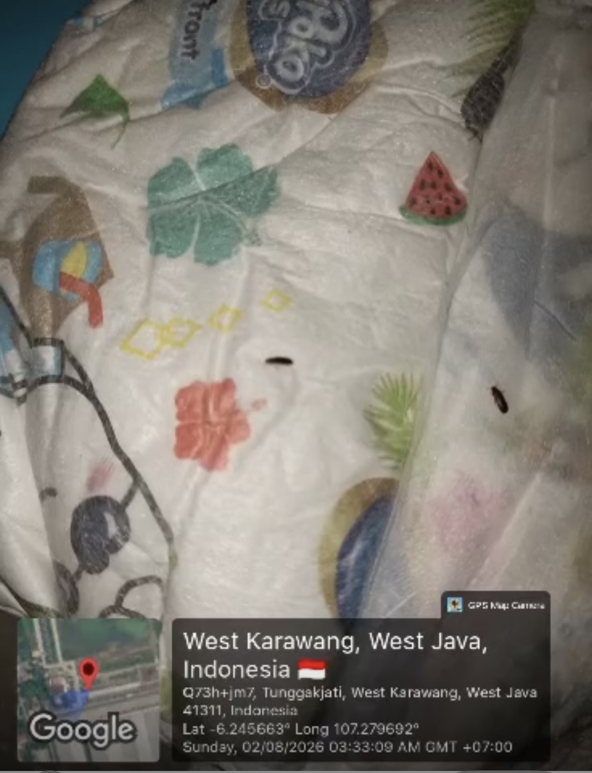 Pempers bayi warga perumahan PT MIP di Karawang, pun dipenuhi kutu beras. Menghantui warga sejak beberapa waktu terakhir.