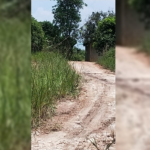 Jalan menuju lokasi muat barang diduga rokok ilegal, di Pantai Monggak. Jalan masuk diportal dan dijaga ketat agar media ini tidak dapat masuk ke lokasi.