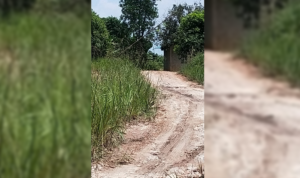 pantai monggak-03 Jalan menuju lokasi muat barang diduga rokok ilegal, di Pantai Monggak. Jalan masuk diportal dan dijaga ketat agar media ini tidak dapat masuk ke lokasi.