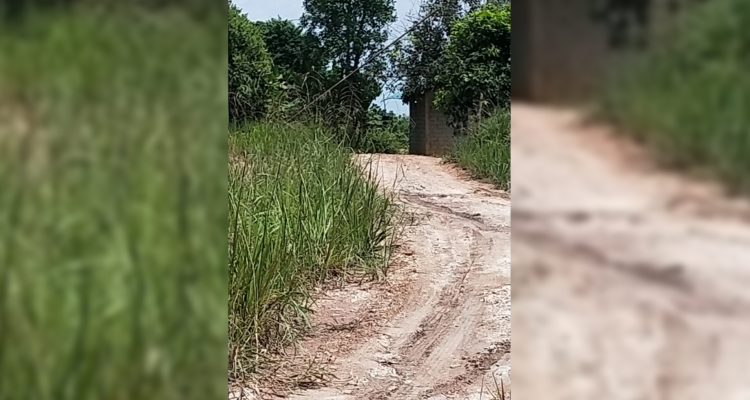 Jalan menuju lokasi muat barang diduga rokok ilegal, di Pantai Monggak. Jalan masuk diportal dan dijaga ketat agar media ini tidak dapat masuk ke lokasi.