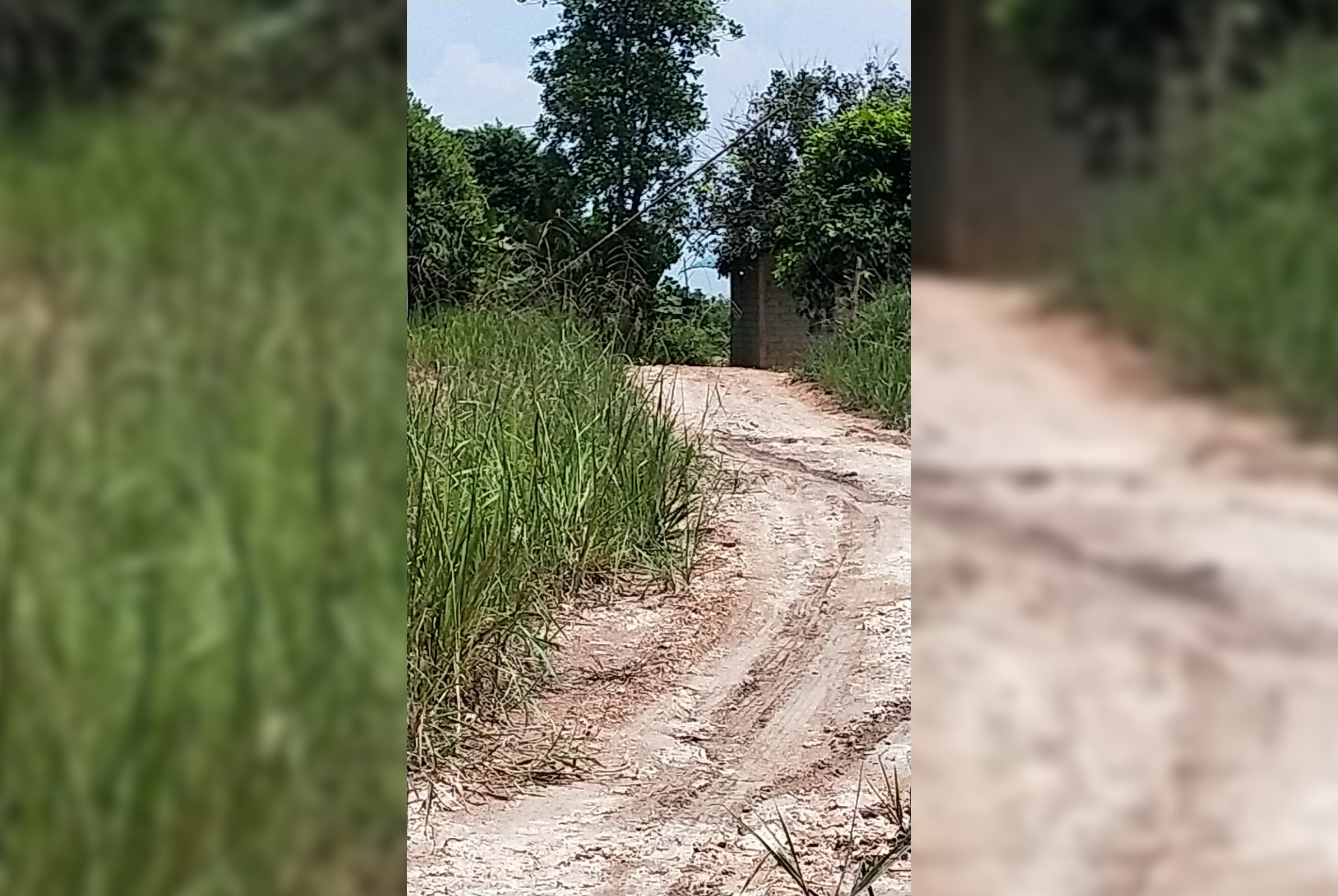Jalan menuju lokasi muat barang diduga rokok ilegal, di Pantai Monggak. Jalan masuk diportal dan dijaga ketat agar media ini tidak dapat masuk ke lokasi.